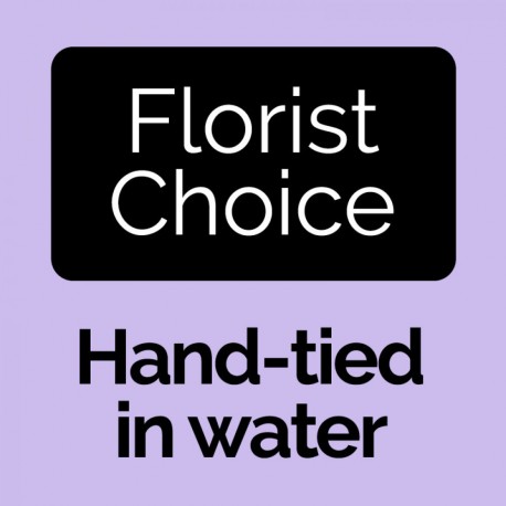 Florist Choice Aqua Hand tied