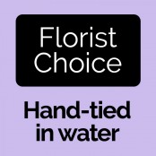 Florist Choice Aqua Hand tied